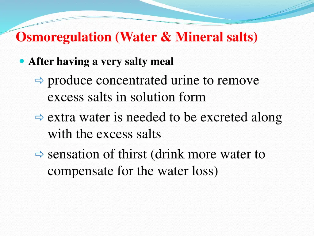 osmoregulation water mineral salts