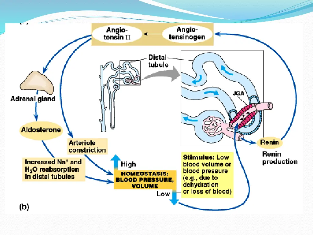 slide16