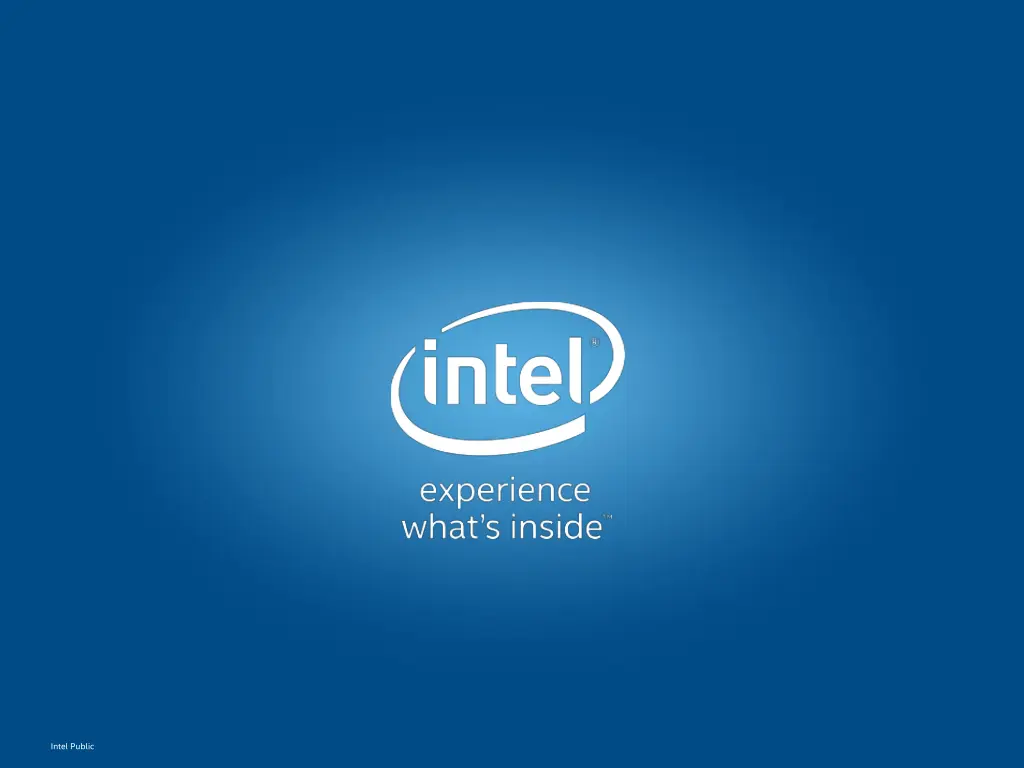 intel public