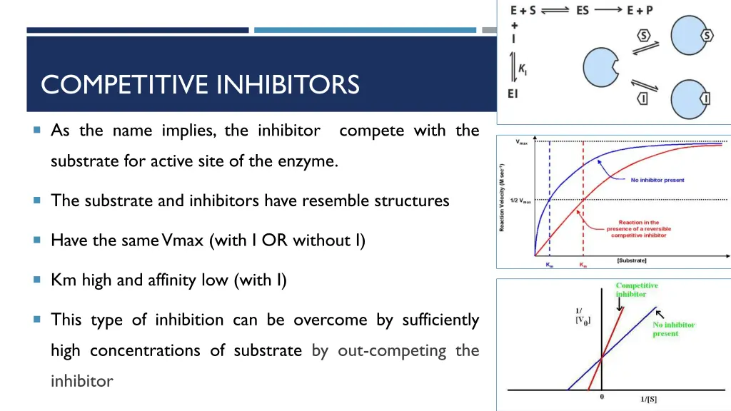 competitive inhibitors