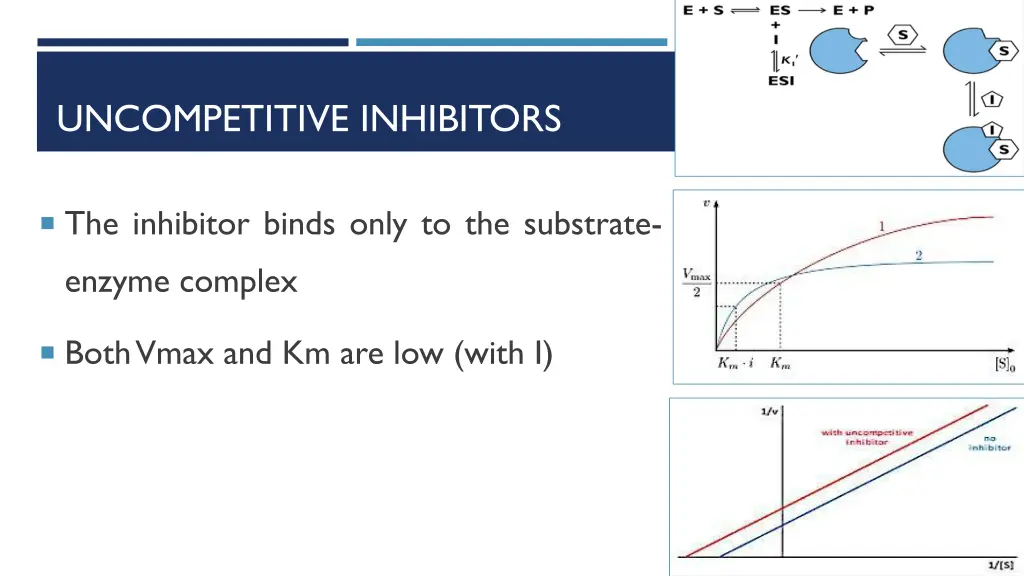 uncompetitive inhibitors