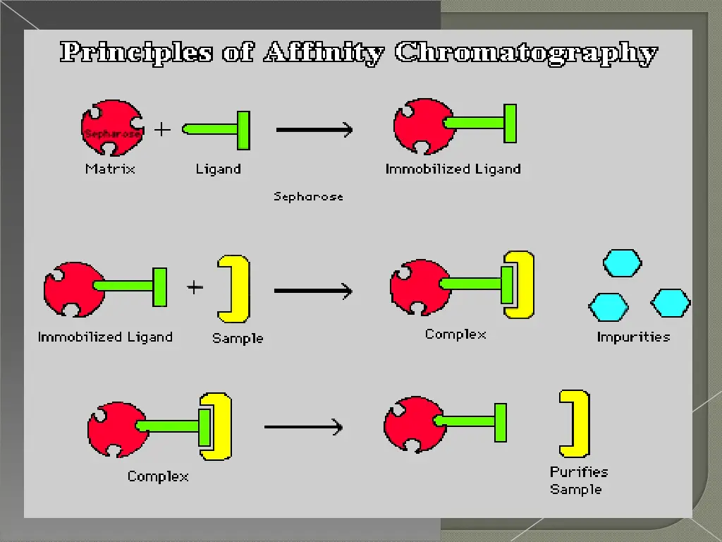 slide11