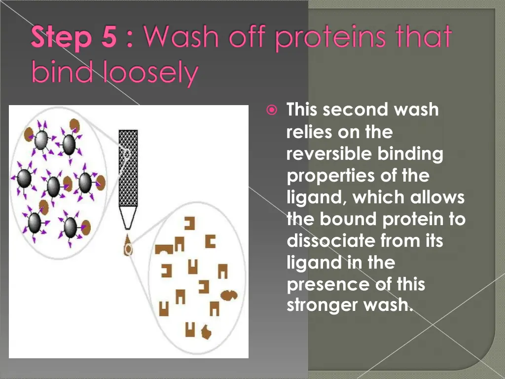 this second wash relies on the reversible binding