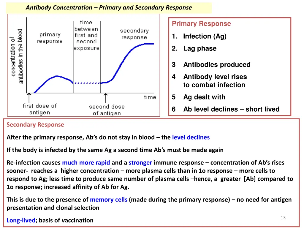 antibody concentration primary and secondary