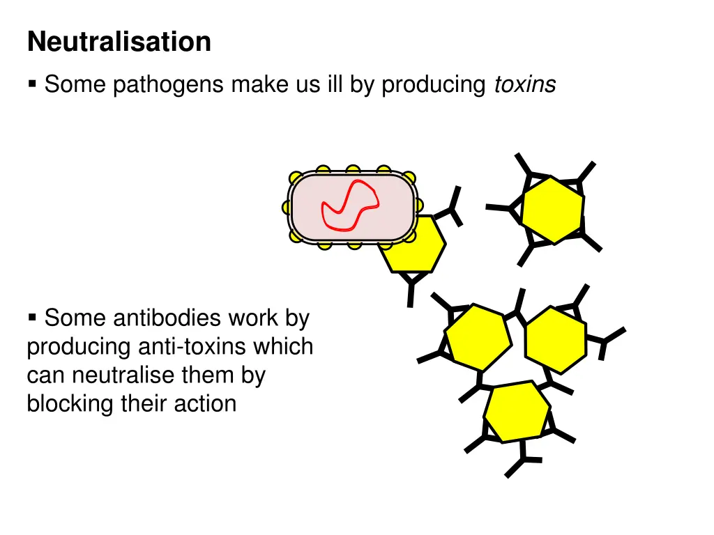 neutralisation