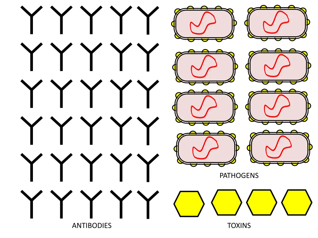 pathogens