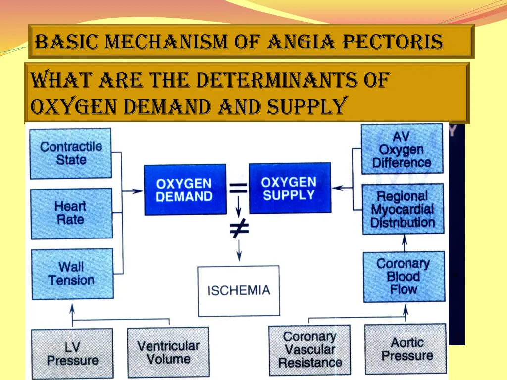 basic mechanism of angia pectoris