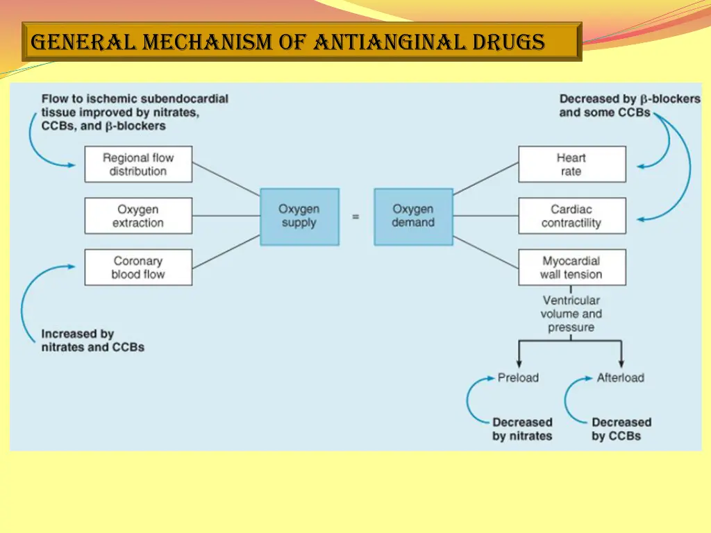 general mechanism of antianginal drugs