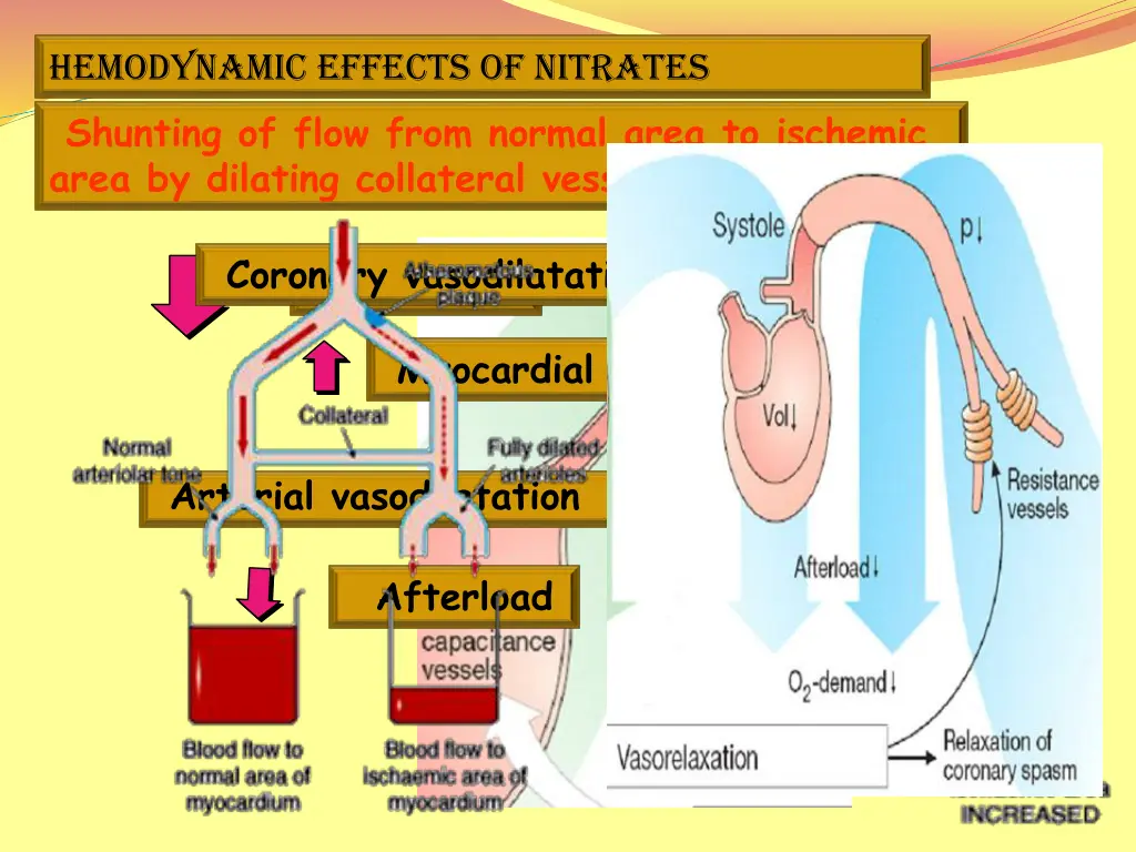 hemodynamic effects of nitrates shunting of flow