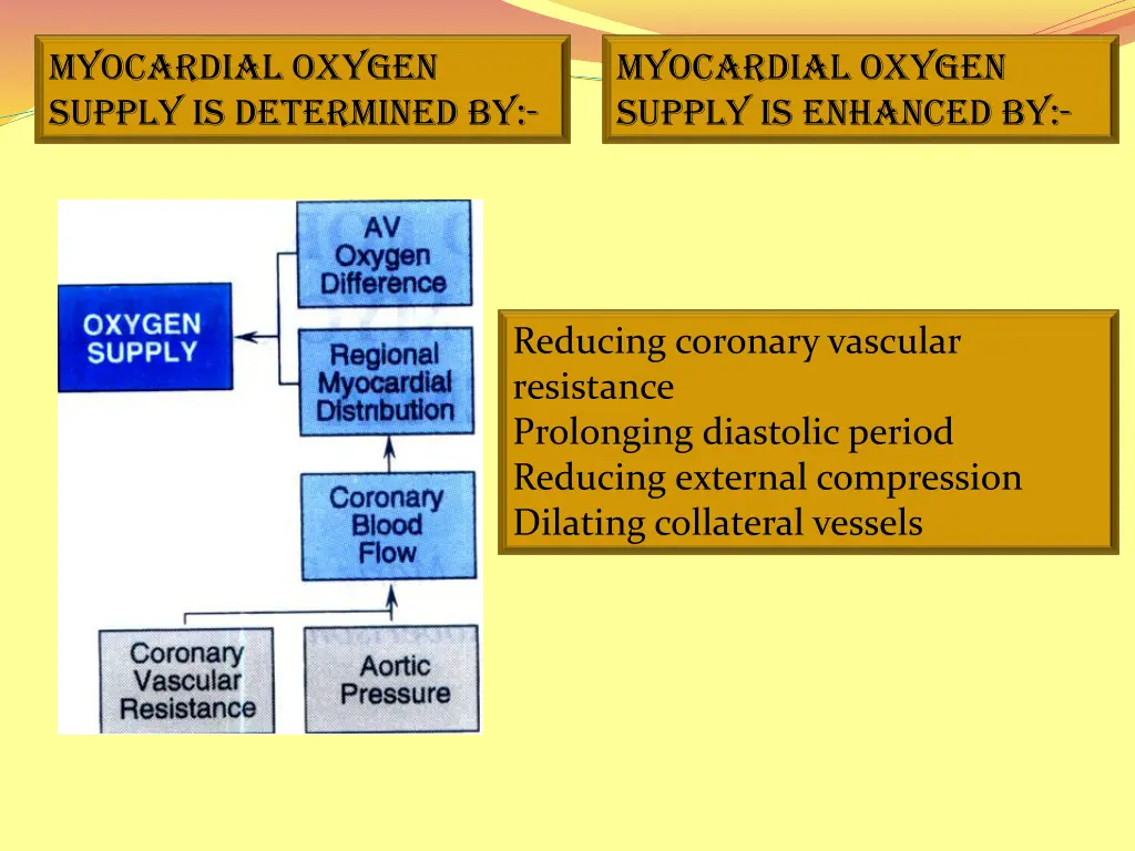 myocardial oxygen supply is determined by