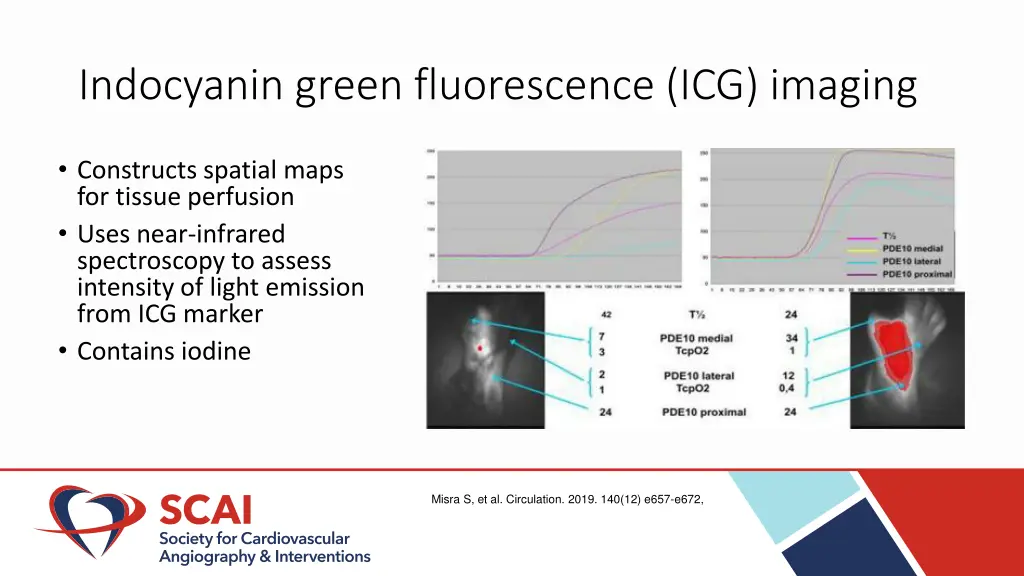 indocyanin green fluorescence icg imaging