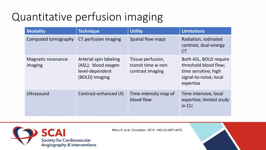 quantitative perfusion imaging