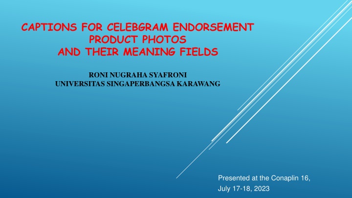 captions for celebgram endorsement product photos