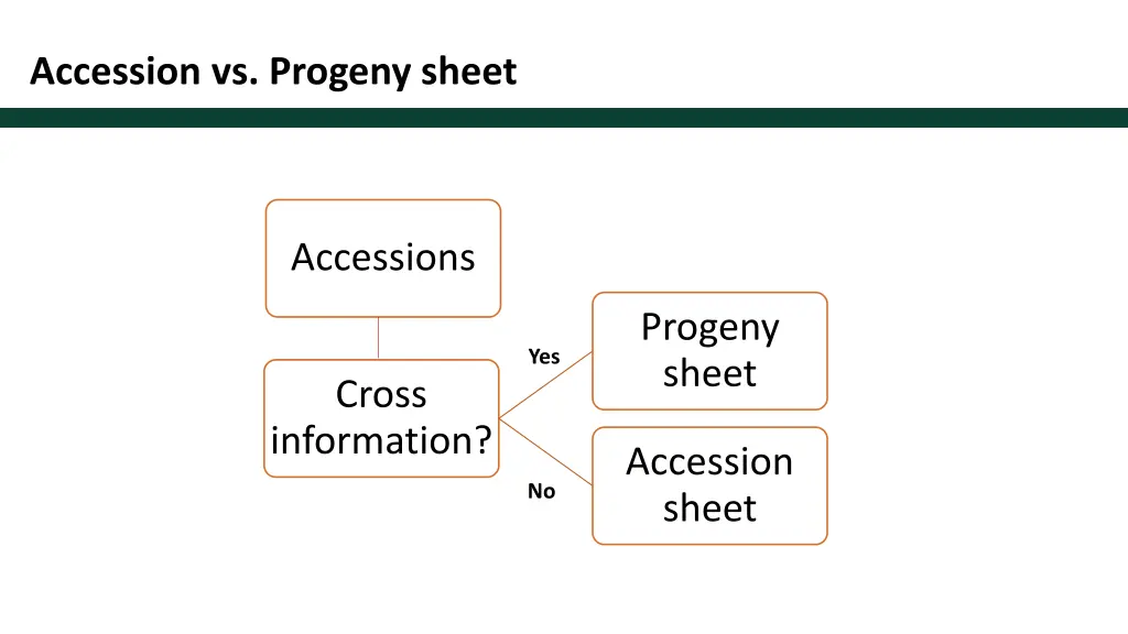 accession vs progeny sheet