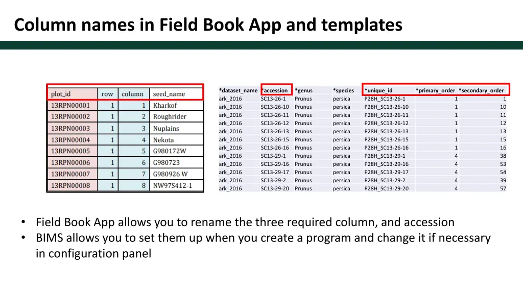 column names in field book app and templates