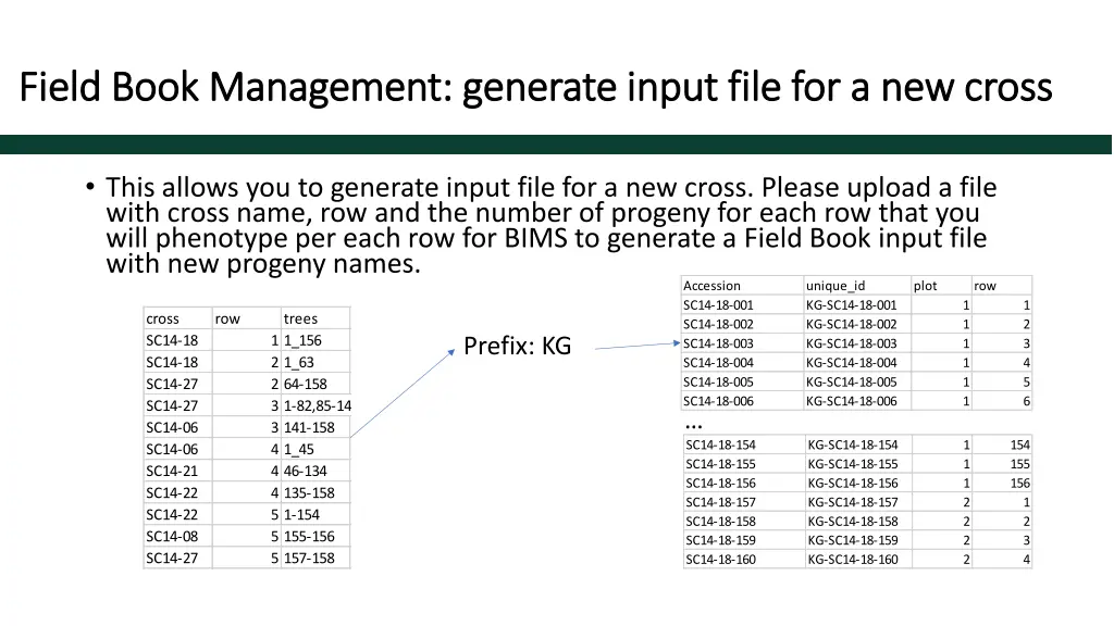 field book management generate input file