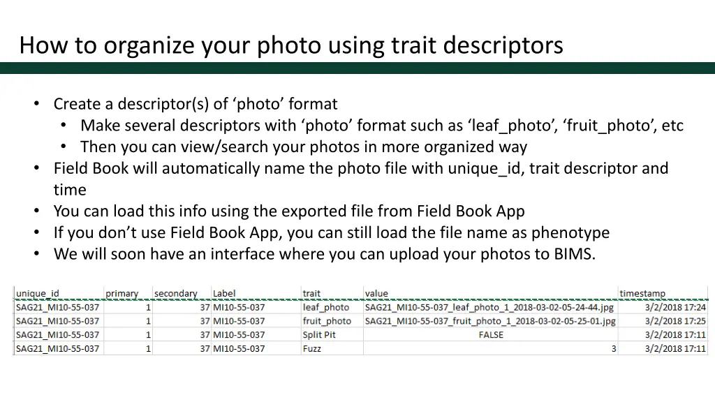 how to organize your photo using trait descriptors