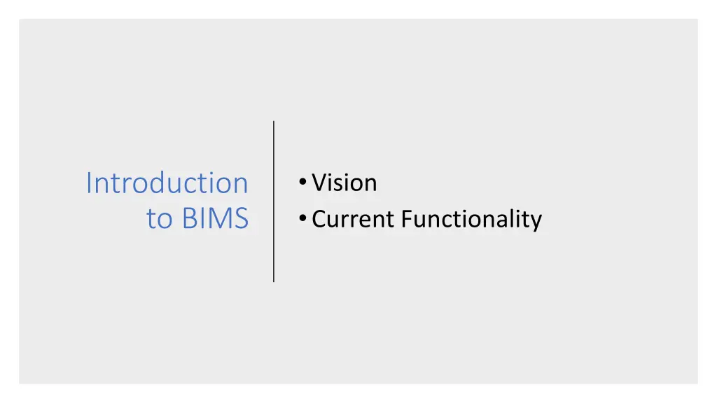 vision current functionality