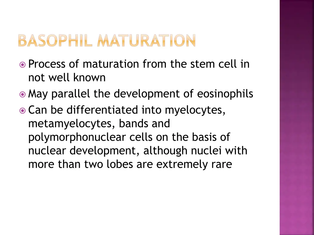 basophil maturation