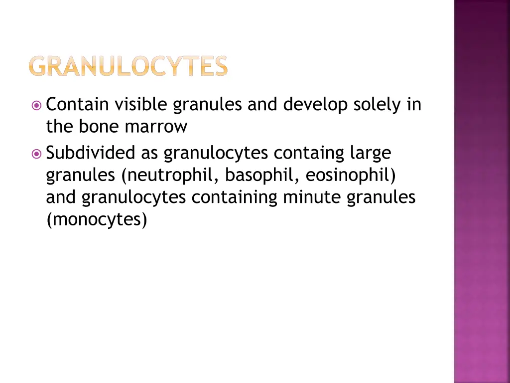 granulocytes