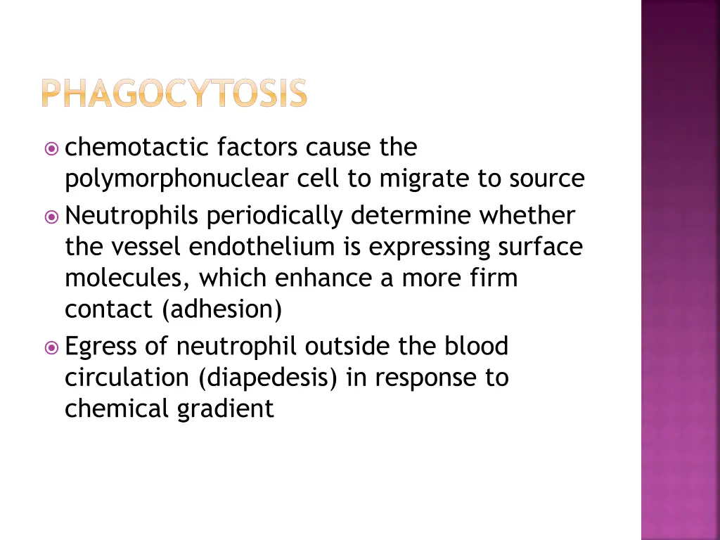 phagocytosis