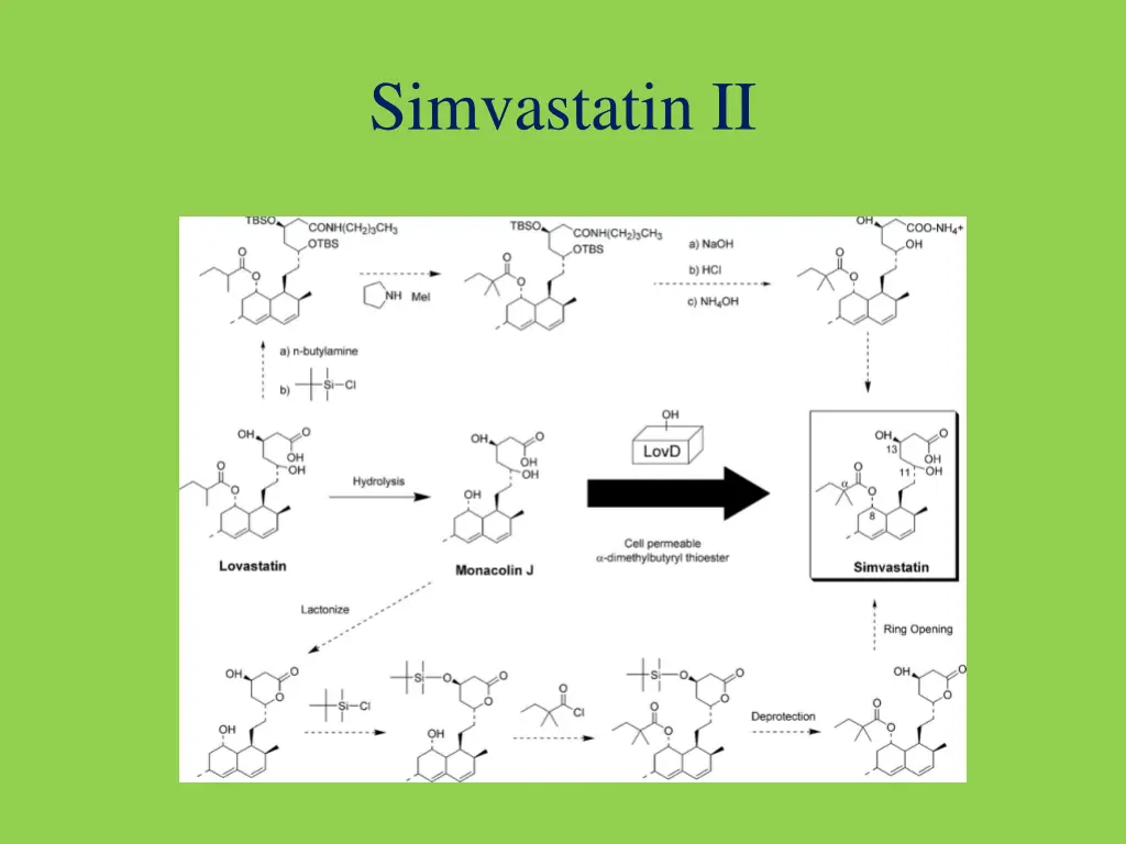 simvastatin ii