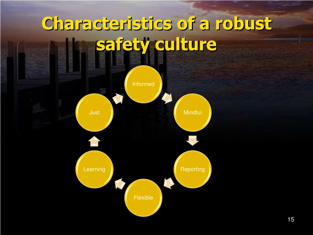 characteristics of a robust safety culture