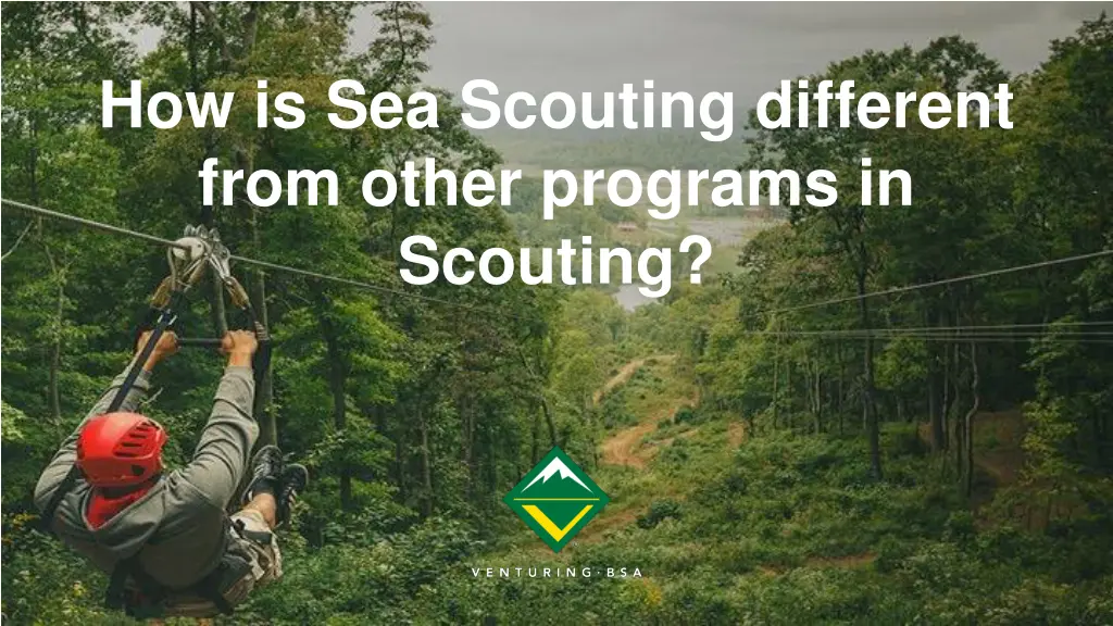 how is sea scouting different from other programs