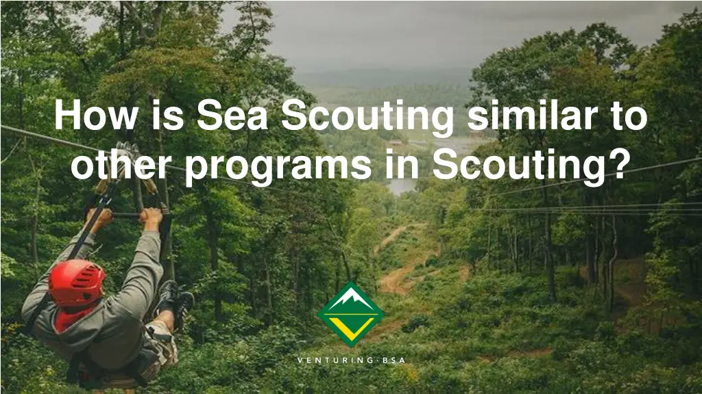 how is sea scouting similar to other programs