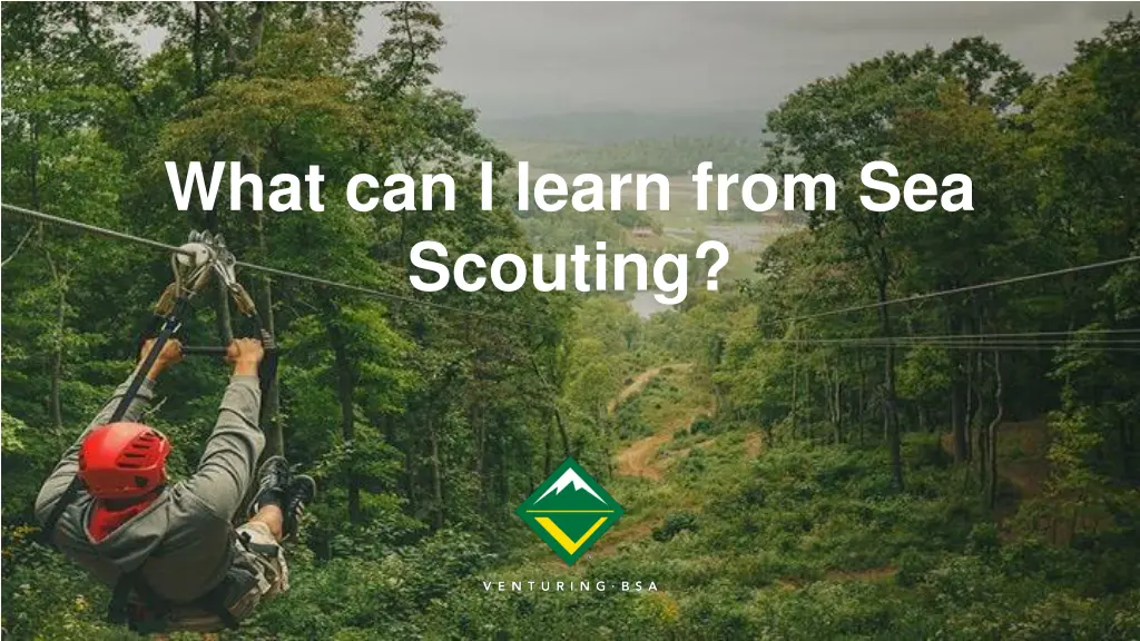 what can i learn from sea scouting