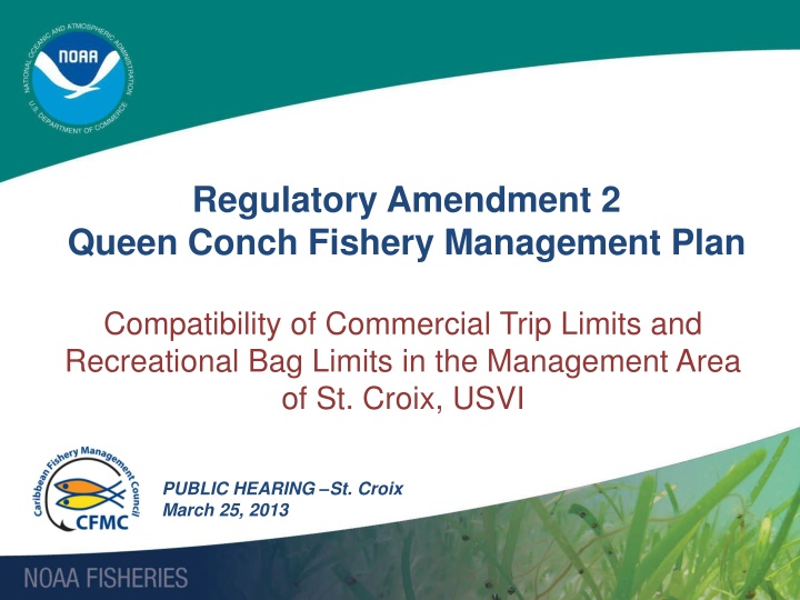 regulatory amendment 2 queen conch fishery