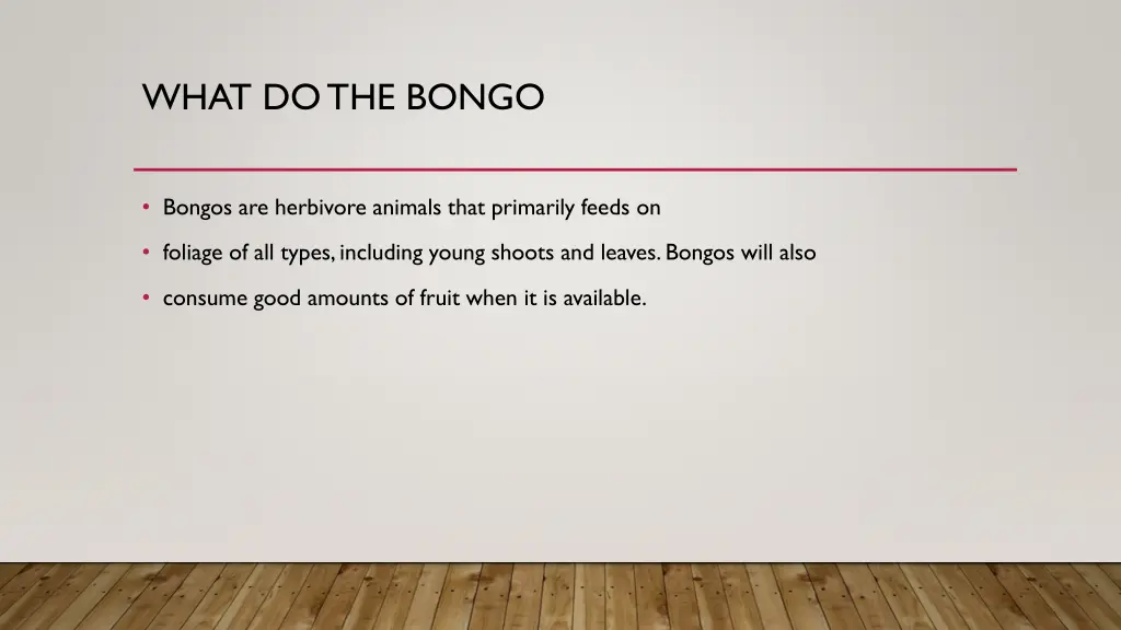 what do the bongo