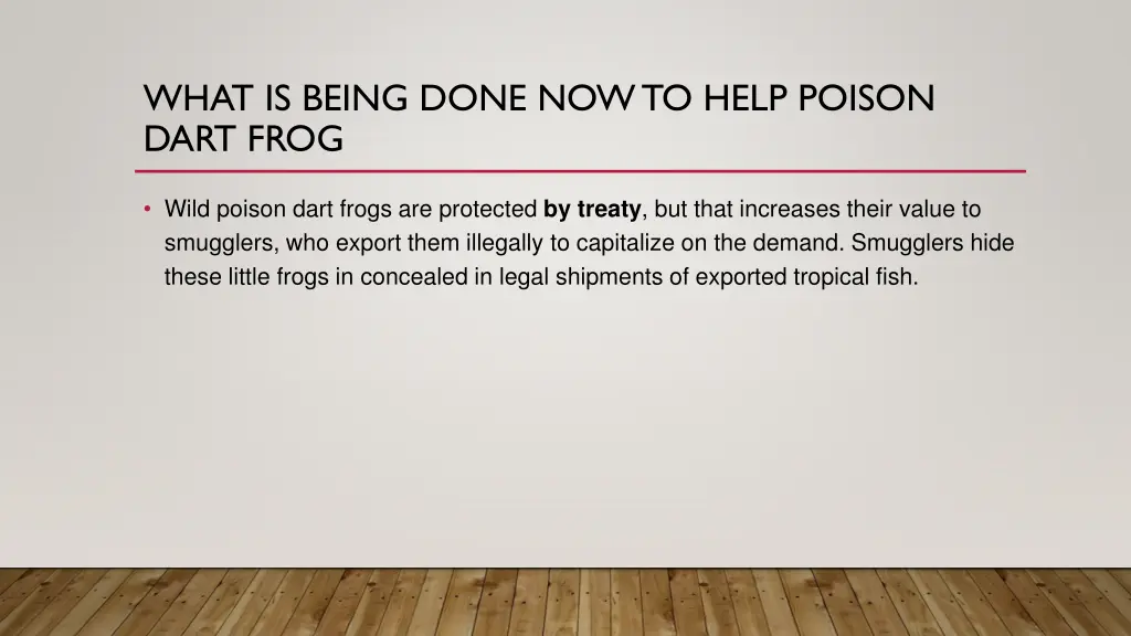 what is being done now to help poison dart frog