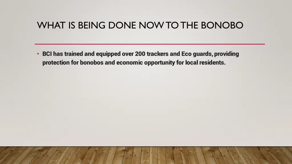 what is being done now to the bonobo