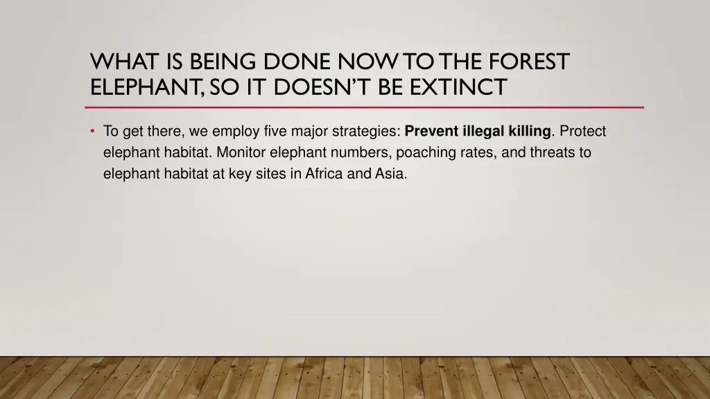 what is being done now to the forest elephant