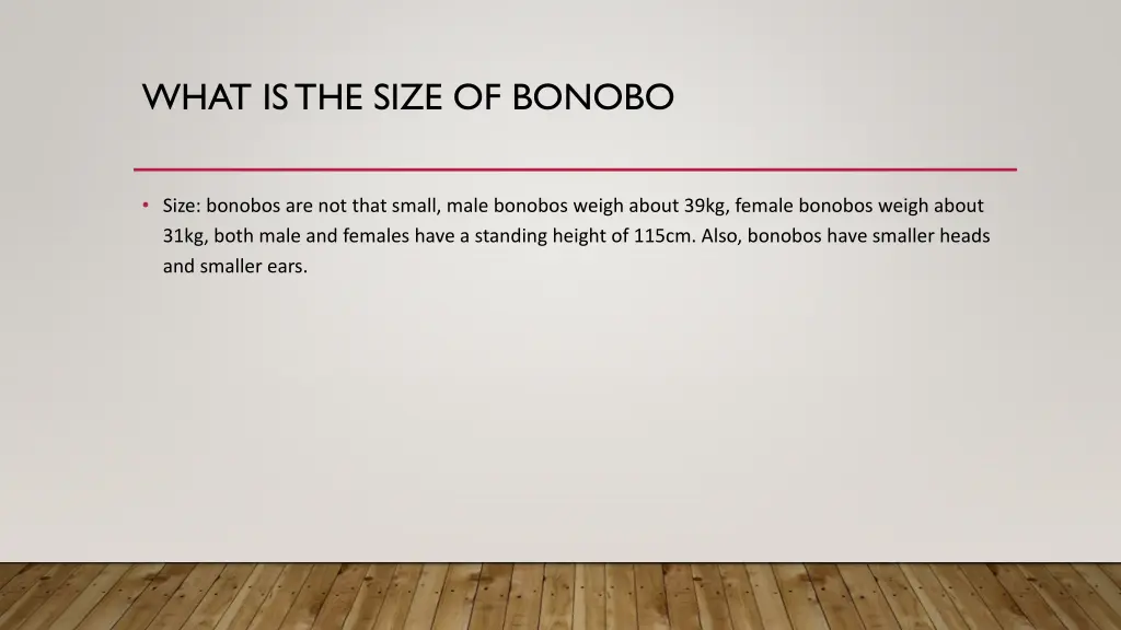 what is the size of bonobo