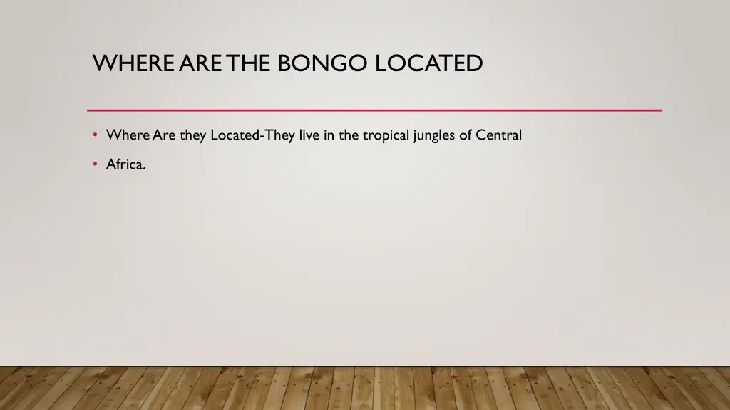 where are the bongo located