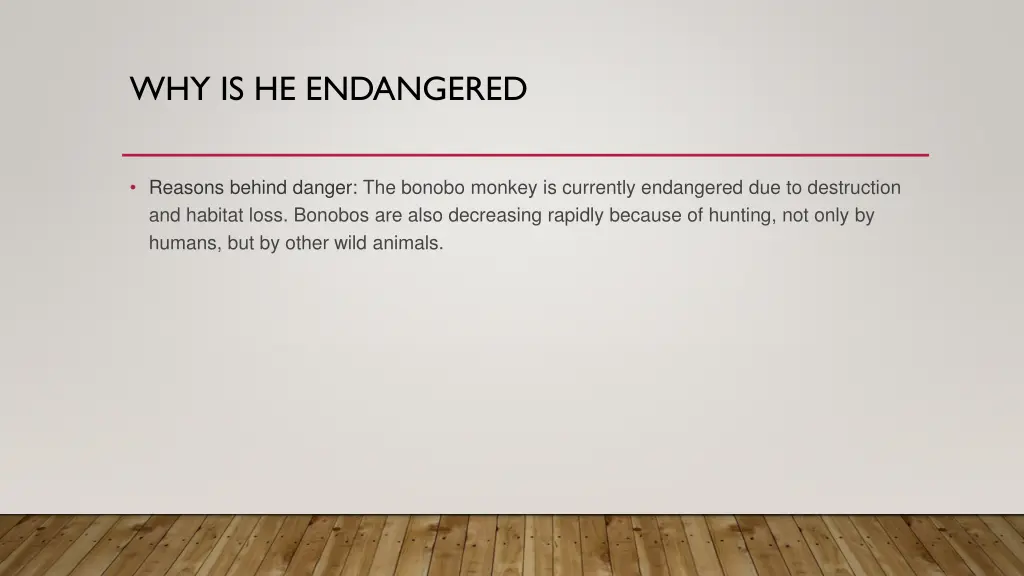 why is he endangered