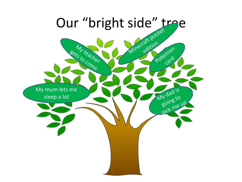 our bright side tree