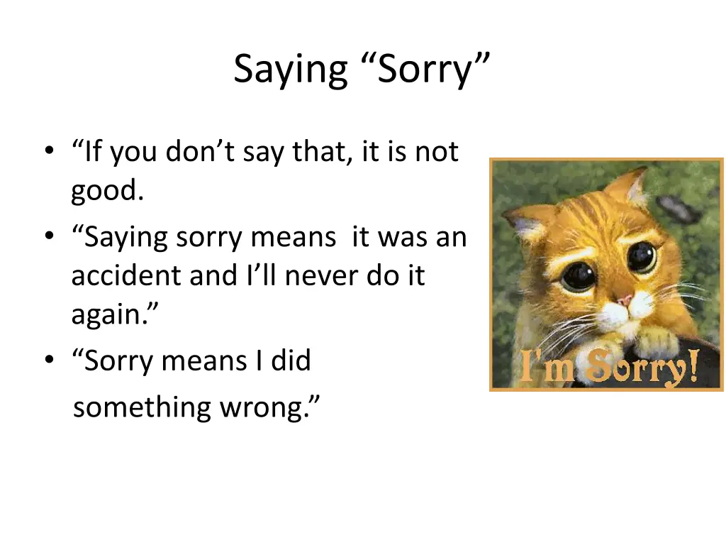 saying sorry