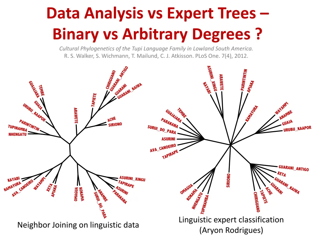 data analysis vs expert trees binary vs arbitrary