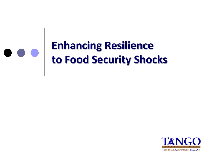 enhancing resilience to food security shocks