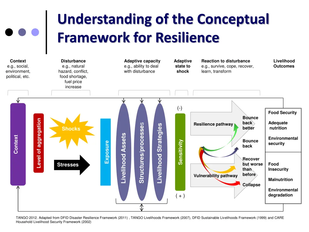 understanding of the conceptual framework