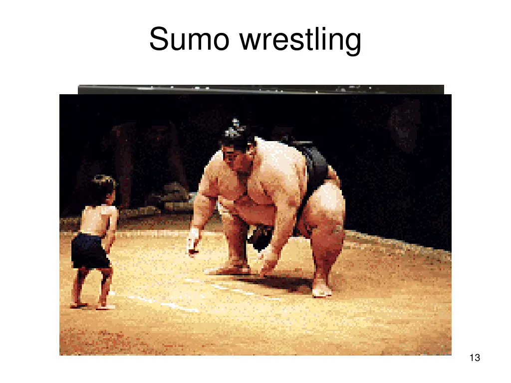 sumo wrestling