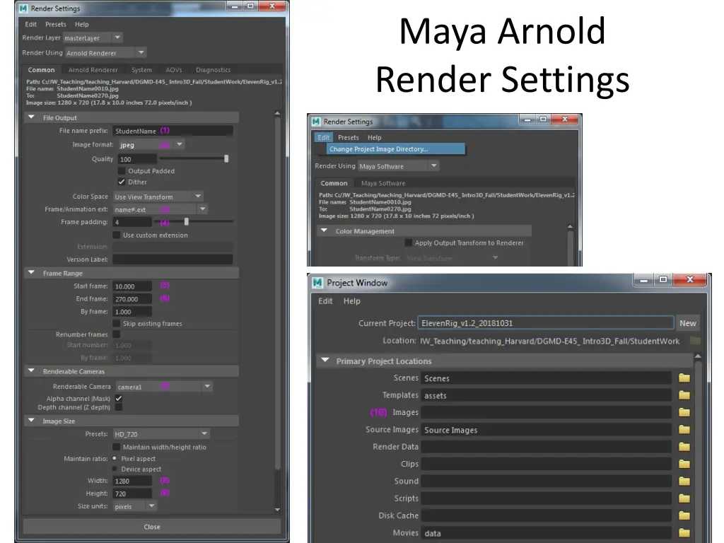 maya arnold render settings