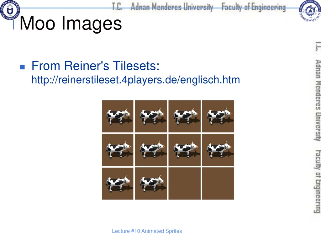 moo images