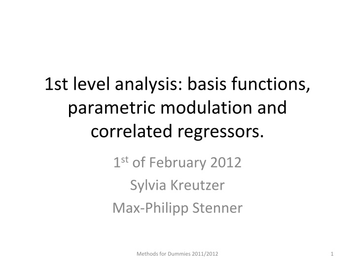 1st level analysis basis functions parametric