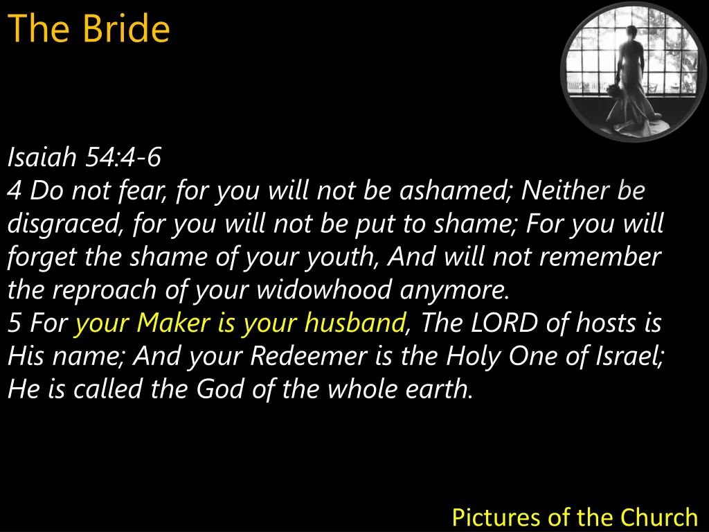 the bride 7