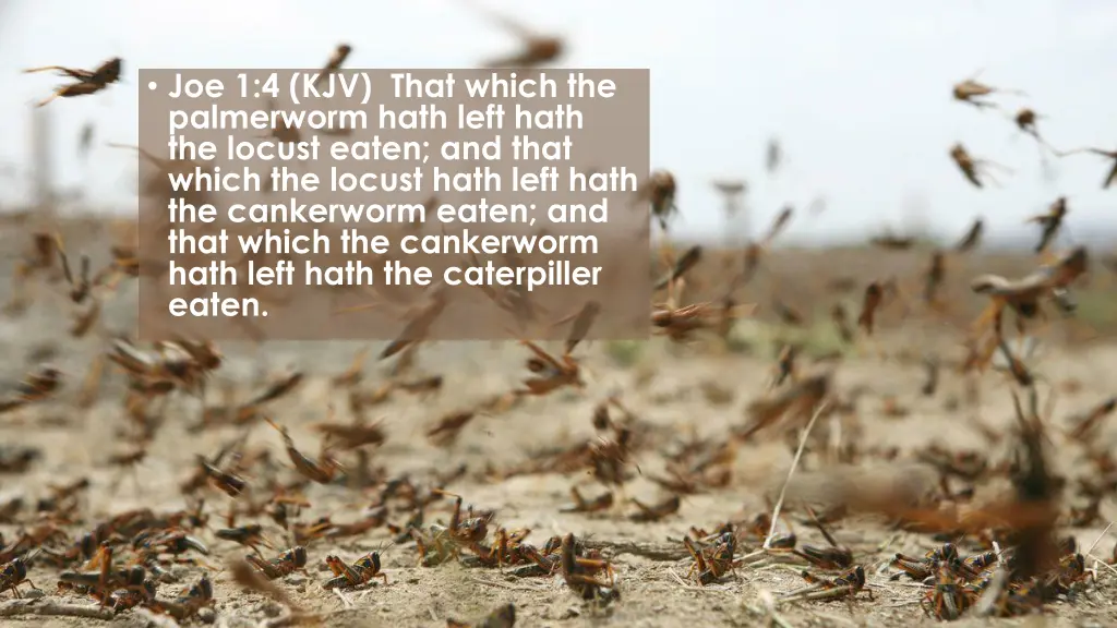 joe 1 4 kjv that which the palmerworm hath left