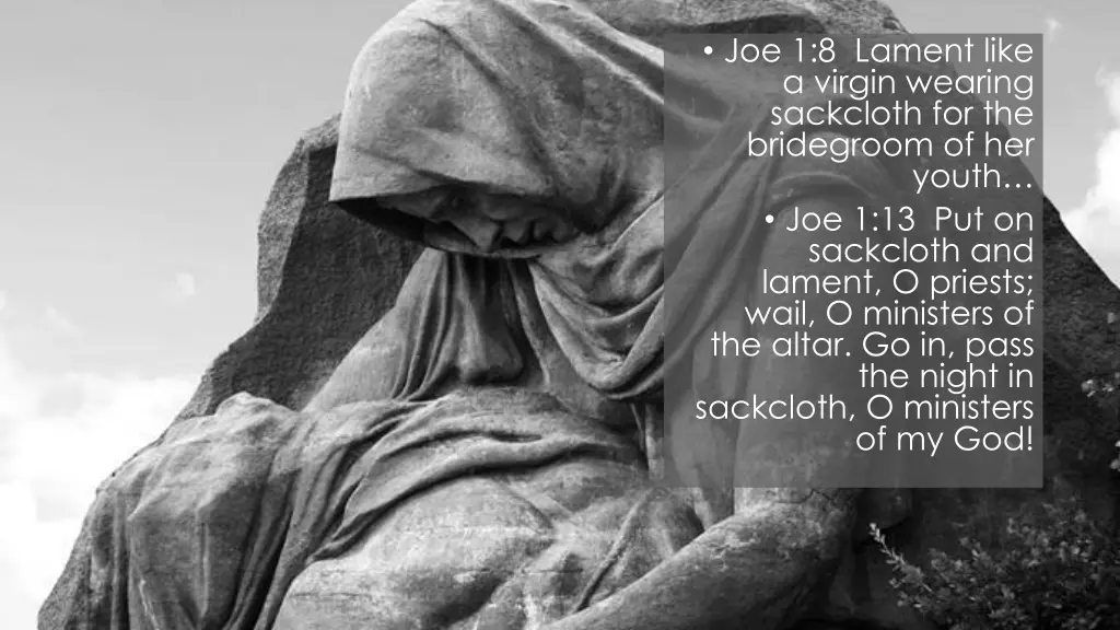 joe 1 8 lament like a virgin wearing sackcloth